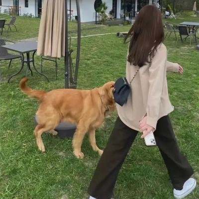 医学调查